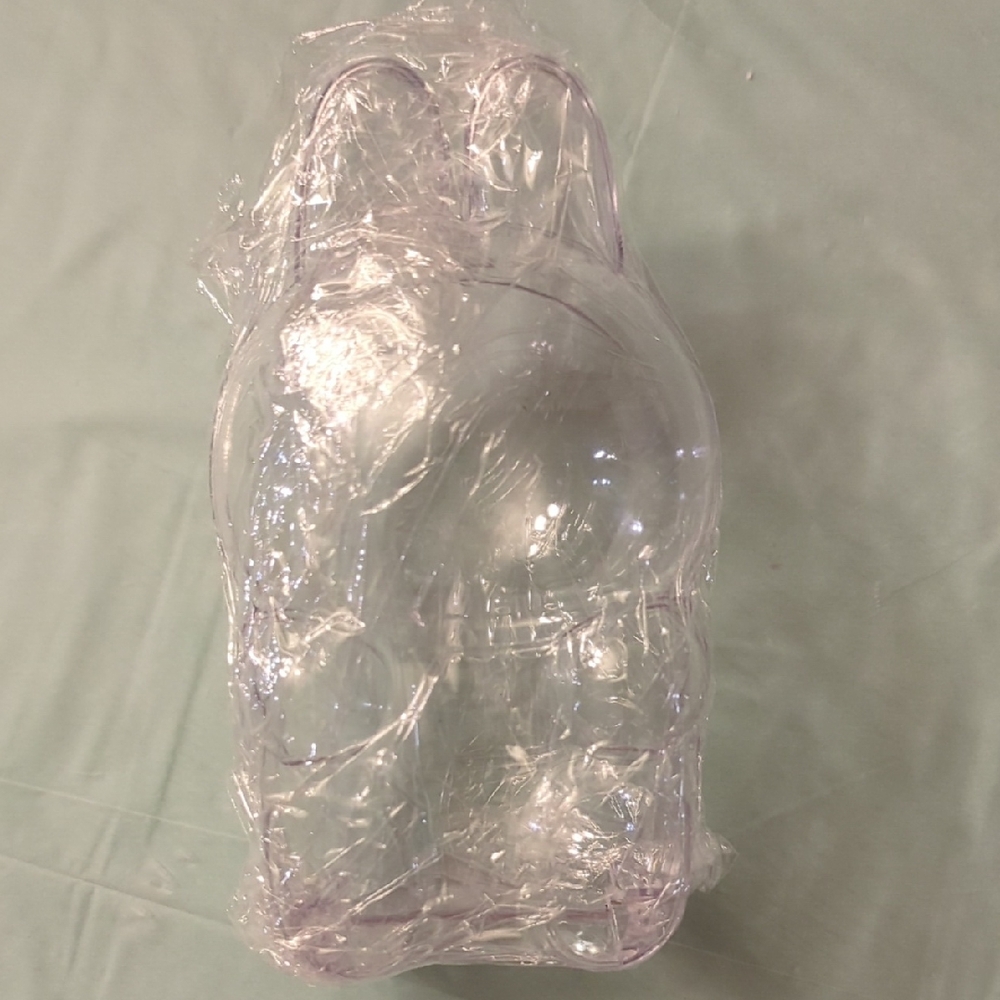 Clear Plastic Bunny Mold